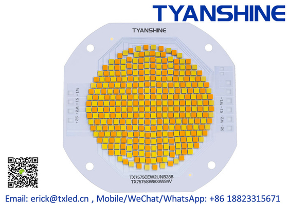 China High power CSP LED Module 850W COB LED Module TunableWhite 2700K-7000K supplier