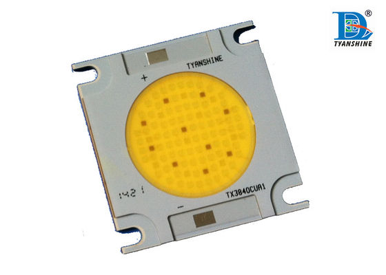 China 150W 5600K COB Chip LED Array with 3mm Copper MCPCB , White LED Module supplier