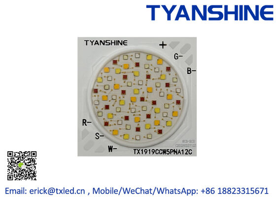 China Smart Lighting 700mA RGBW LED 60W COB LED LES16mm 36V COB RGB+Tunable White supplier