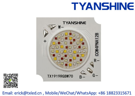 China Smart Lighting 500mA RGBW LED 70W COB LED LES12mm 36V LED COB RGBW supplier