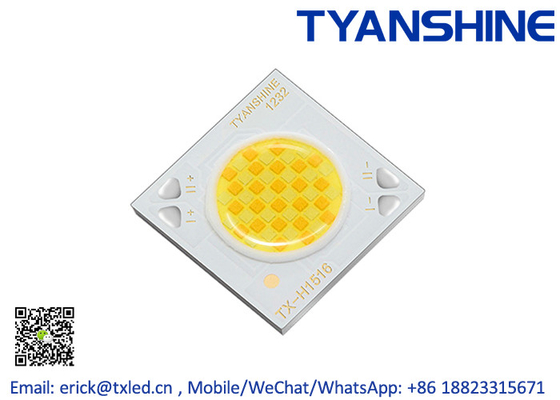 China Dynamic White COB LED 2800K-6000K LM80 20W COB LED Module CRI 95Ra supplier
