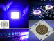 380nm COB 70 Watt UV LED Diode UntraViolet Automobile Ink Curing 30V LED Array supplier